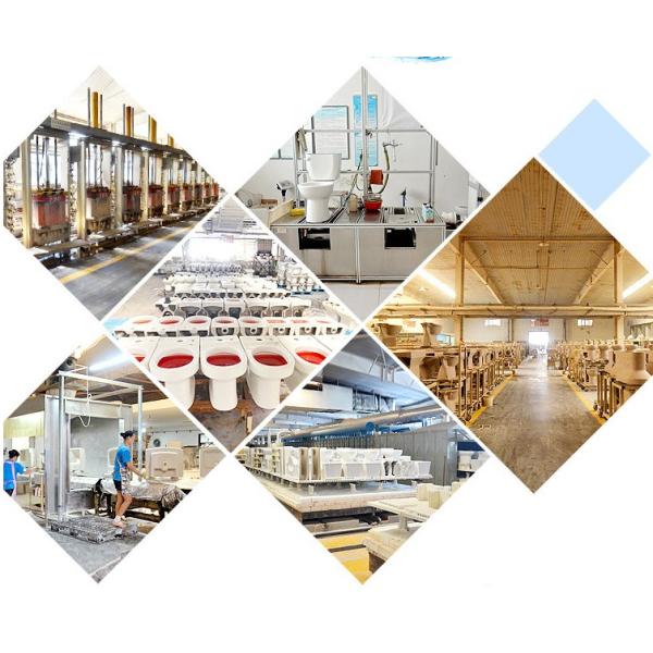 Portable Single Piece Toilet Siphonic Ceramic Water Fittings WC Seat , Water Closet Toilet