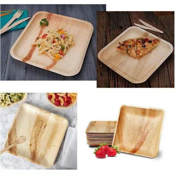 Compostable лист ладони ареки покрывают для взятия прочь