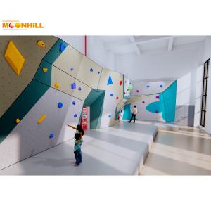 Placa de escalada ROHS da escalada do treinamento da aptidão do Gym da parede do