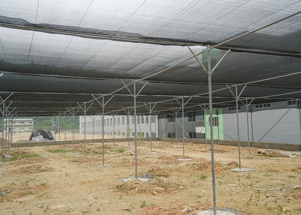 Ventilation Lightweight Flat Roof Shade Net House For Vegetable Cultivation