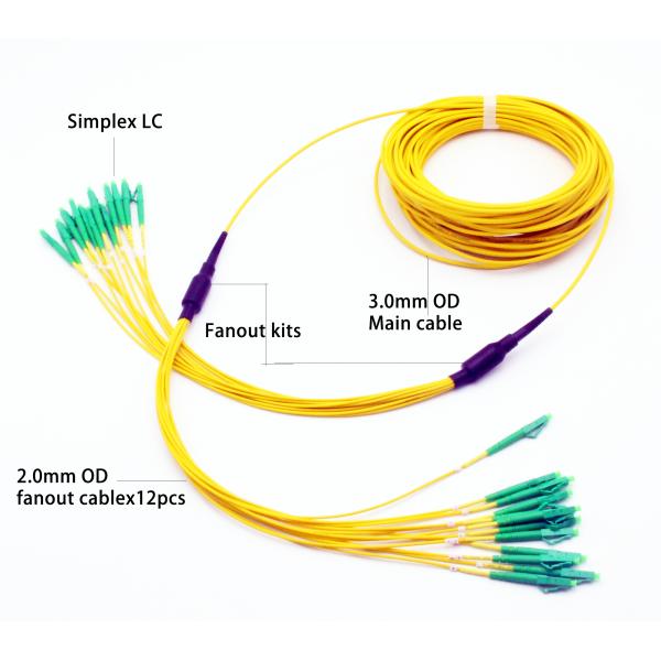 12F micro fanout  Fiber Optic Patch Cord LC APC - LC APC  SM OS2 main cable 3.0mm OD  fanout 2.0mm Cable OD IEC Grade B1