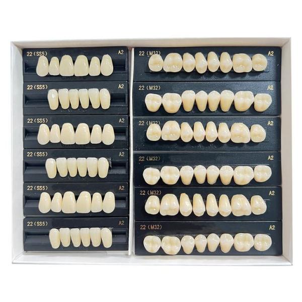 High Flexibility Composite Dental Acrylic Resin Teeth Standard Size