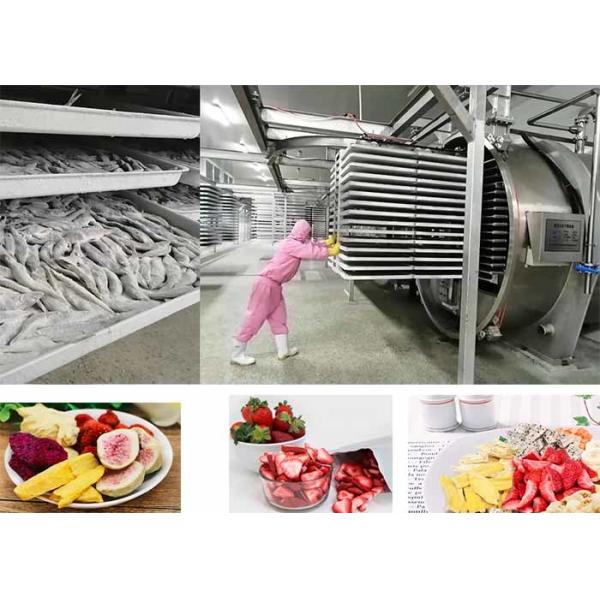 Пищевой вакуумный морозильный сушильщик с управлением ПЛК 200 кг/партия