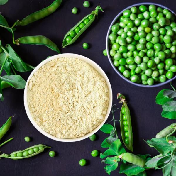 Odm Protéine de pois et de riz végétalienne biologique en poudre pour aliments, Cas 9000-70-8