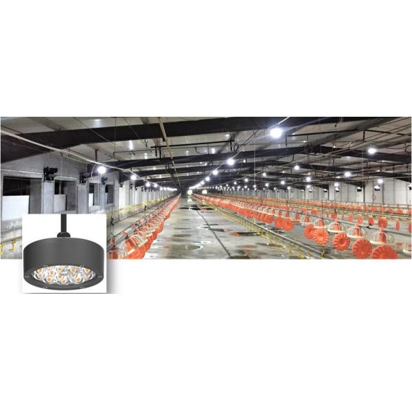 Aluminum Housing Square Poultry Farm Light for Broiler Chickens Growth
