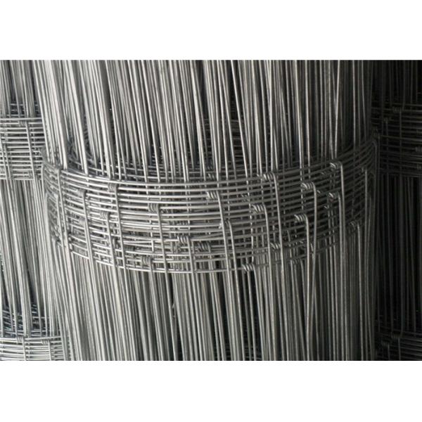 cattle/cow fence wire mesh/hot-dipped galvanized filed fence wire mesh/ deer farm fence mesh from really factory