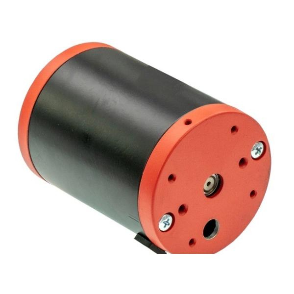 High Power Brushless Micro BLDC Gear Motor for Worm Gear Electric Car Stainless Steel