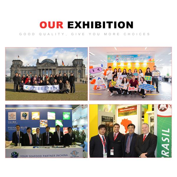 Костюм Дня детей Костюм пирата Костюм на Хэллоуин Тематический карнавальный праздник