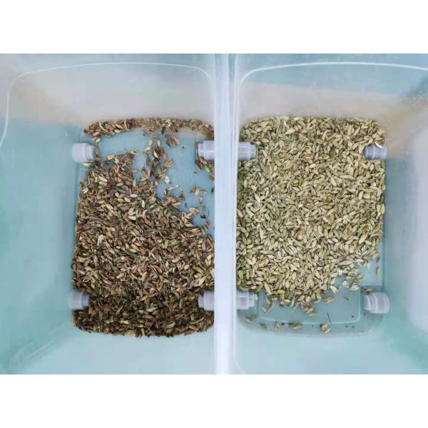 Wenyao Professional Color Sorting Machine Automatic Cardamom Color Sorter