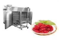 aire caliente de 1.35kw 300kg que seca la sequedad de Oven For Bottarga Dehydrator Fruit