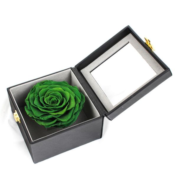 Verde para sempre Rosa em uma caixa, rosas eternas quadradas elegantes em uma caixa