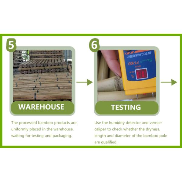 Shanghai Forever Import & Export Co., Ltd.