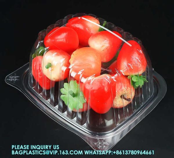 8oz 12oz 16oz 24oz 32oz 48oz Clear Plastic Pet Hinged Clamshell Fruit Salad Box Bowl Transparent Deli Container