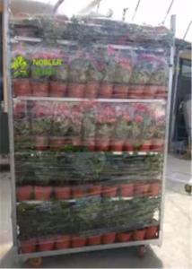 O trole N1350 dinamarquês arquiva troles da flor para Países Baixos, carro da