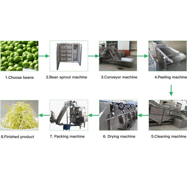 Гидропоническая система кормов для животных Машина для прорастания ячменя 100 кг в день