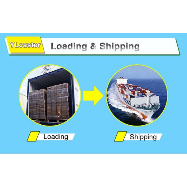 Плоская плита шарнирного соединения проступи ISO9001 колеса рицинуса шарнирного соединения 6 дюймов для тележки