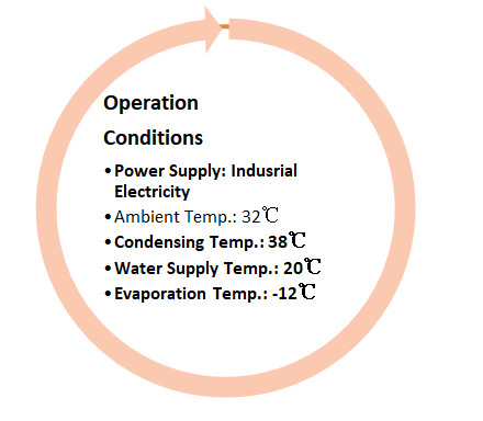 Промышленные бактерии машины R717 трубки льда 10 тонн свободные