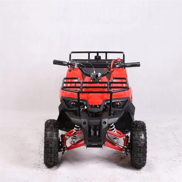 CE Certified 49cc 4 Stroke Gas Powered Kids Quad Bike with Disc Brake and High Voltage