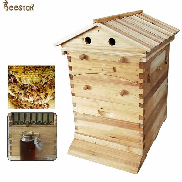 Chinese Fir Wood Beehive And Frame With Automatic Honey Flow For Beekeeping Requirements