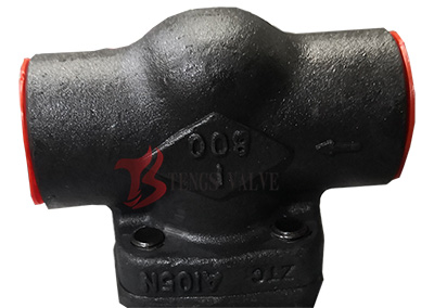 Forged Steel Lift Check Valve, A105N, Class 800, Dn25, 1in, SW, API602