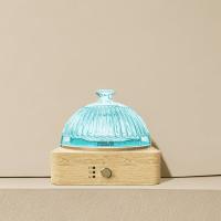 200 MLDiffuseur d'huile essentielle en verre DN-839