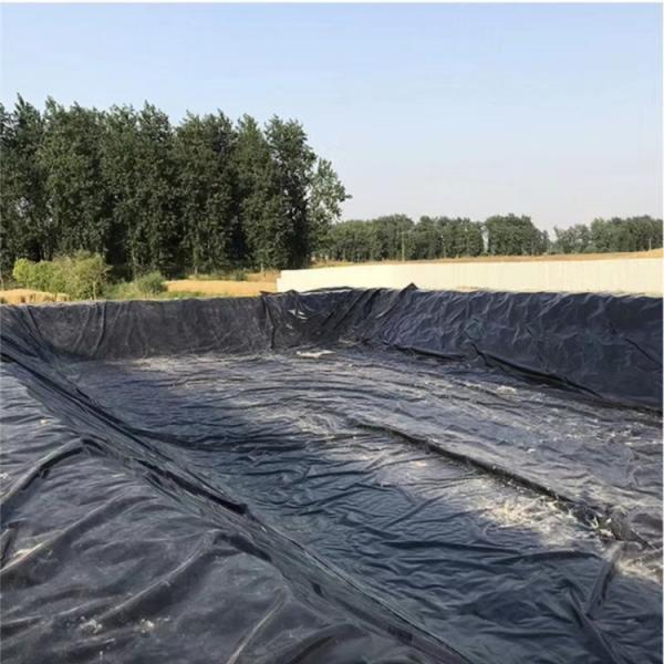 Black High Density Polyethylene EVA Geomembrane for Agricultural Water Storage Tanks