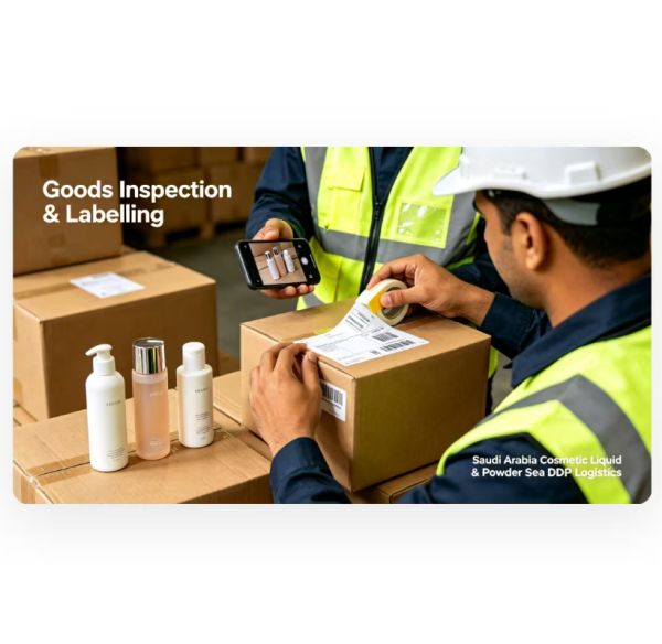 DDP Sea Freight Shipping to Saudi Arabia  for Cosmetic Liquid / Powder
