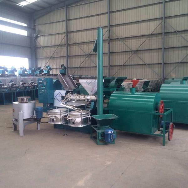 1600*1300*1750 mm Cold Pressed Oil and Diesel Screw Pressing Machine for Home Manual