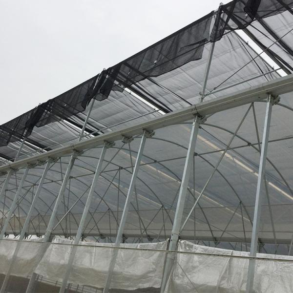Multi Arch High Tunnel Greenhouse Hydroponics Temperature Control For Farming