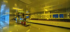 HuaXin Technology  CO.,LTD