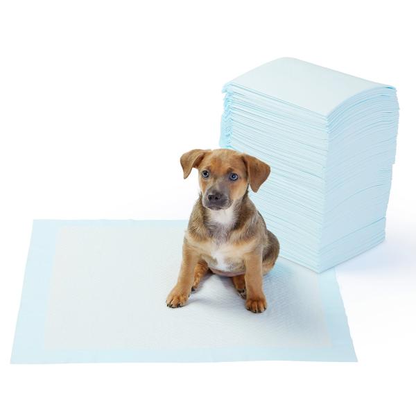 ISO Soft Cotton 600ml Pet Underpads Breathable Leakproof PE Film