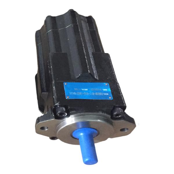 T6CCM Series Hydraulic Vane Pump for Industrial Machinery
