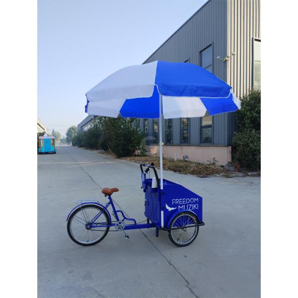 3 Wheel Street Mobile Fast Food Vending Bike Cart with Customized Cooking Equipment