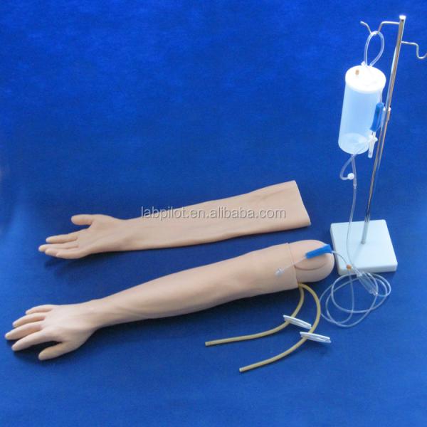 Medical Science Venipuncture and IM Injection Training Arm Model with Spared Skin