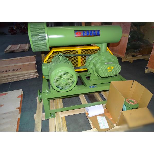 Small Pneumatic Conveying 10-80kpa Water Treatment High Pressure Roots Blower