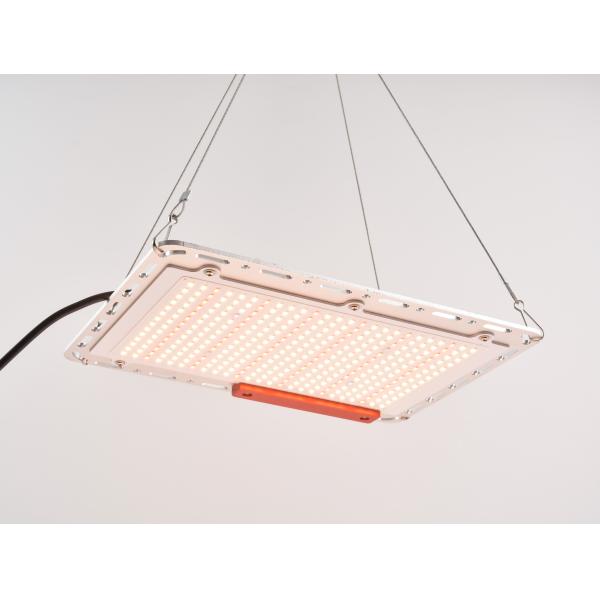 60Hz 100W Led Vegetable Grow Lights , Quantum Board SMD5730 Indoor Grow Light