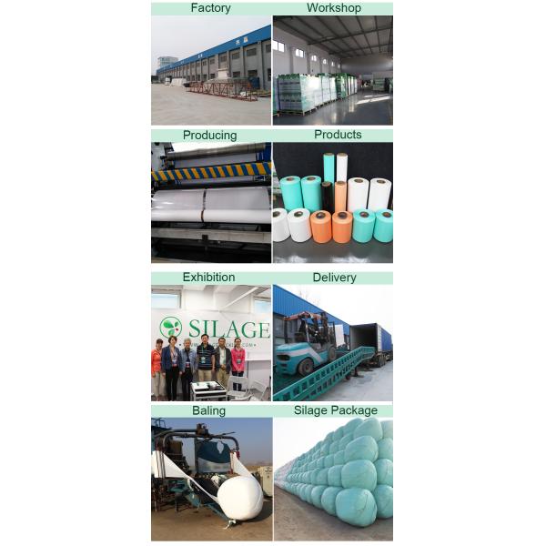Professional Factory,Forage film for Canada,customized size,excellent puncture resistance for farm packing