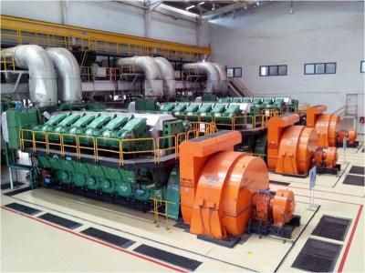MAN Series HFO Generator Set 50Hz 60Hz Low Maintenance HFO Genset