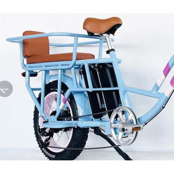 Shimano Gear Alloy Stem Dual Batteries Folding Step Through Ebike for Carrying Kids
