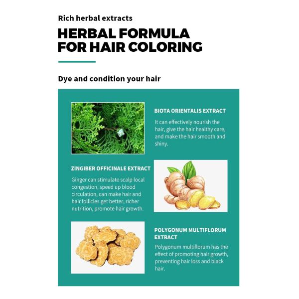 Shampoo colorant capillaire noir à bulles à action rapide, formule à base de plantes, sans danger pour les cheveux et la peau