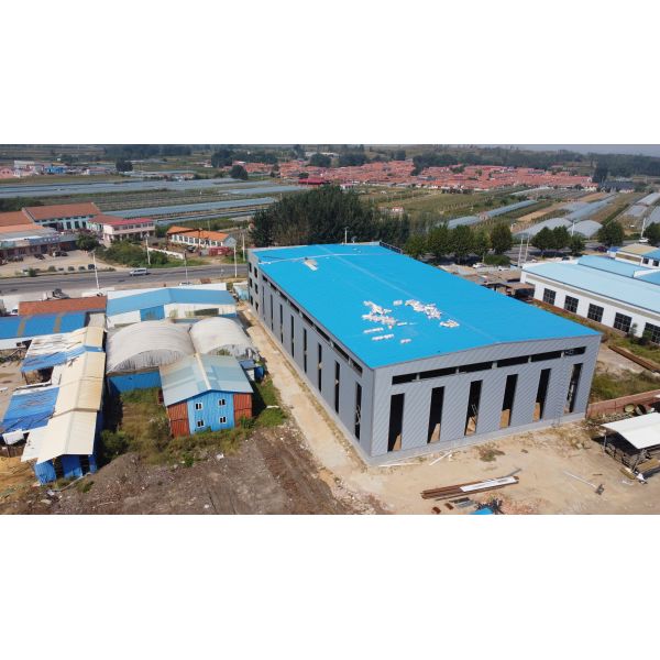 High Seismic Wind Resistant Prefabricated Steel Structure Building for Factory Storage
