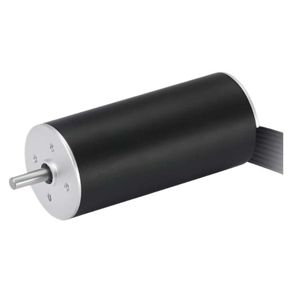 High Speed 22mm Slotless Brushless Motor 48V Coreless BLDC Motor 22W 13641rpm
