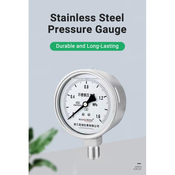 1/4 Thread 304ss 100mm Industrial Air Pressure Gauge for Water Gas 1600bar Range
