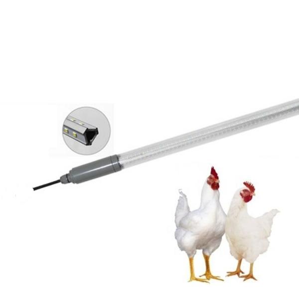 Lâmpada de aves de capoeira LED dimmable 9W-25W, 50000 horas, 120-160LM/W, 180 graus, IP65/67