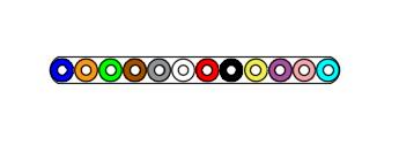Single Mode Bare Fiber Ribbon - 12 fibers