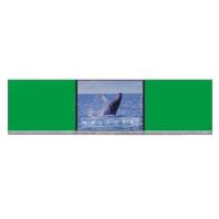 Tableau noir intelligent 75 86 98 pouces Blanc Noir Verte Android Win Système dual Affichage du panneau tactile Pour l'université