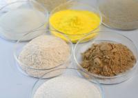 Fungal Amylase Bakery Enzyme Powder Food Additives