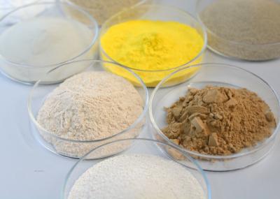 Fungal Amylase Bakery Enzyme Powder Food Additives