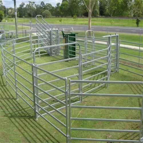 Panneau de clôture de ferme pour bovins portable en tuyau galvanisé de 10 pieds
