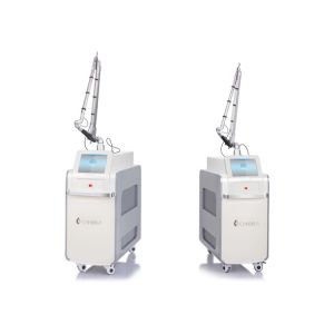 Laser Beauty Machine
